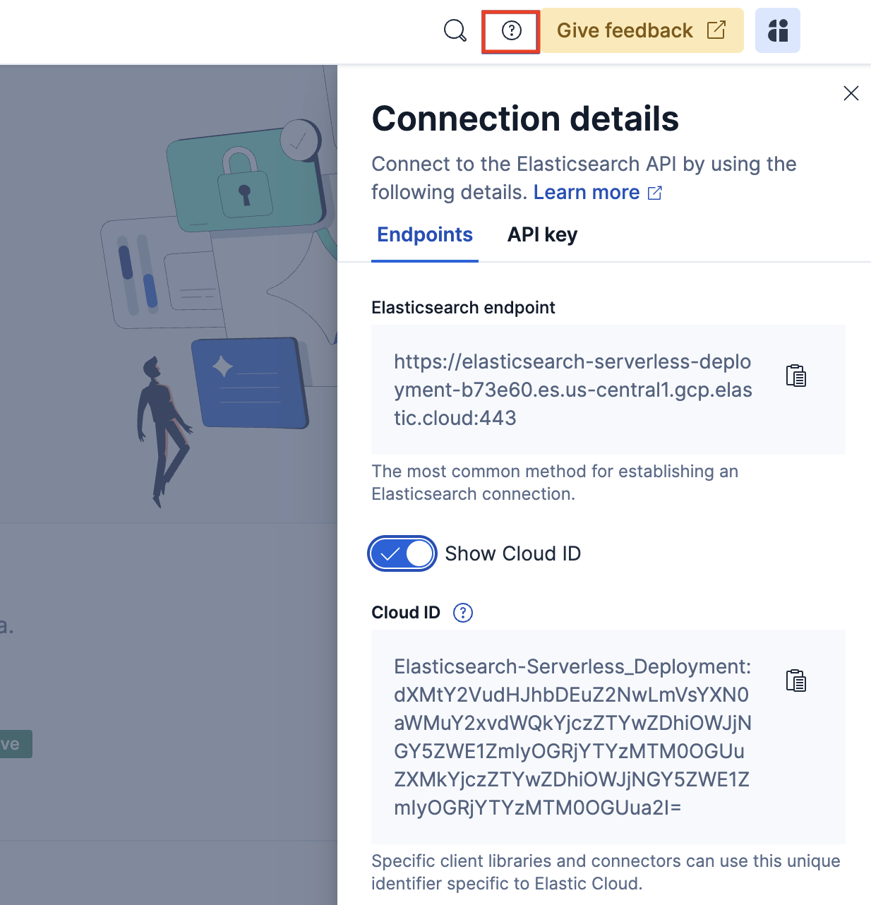 serverless connection details