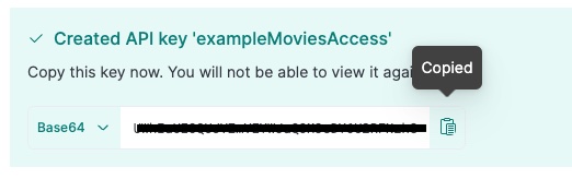 copy api key copy api key