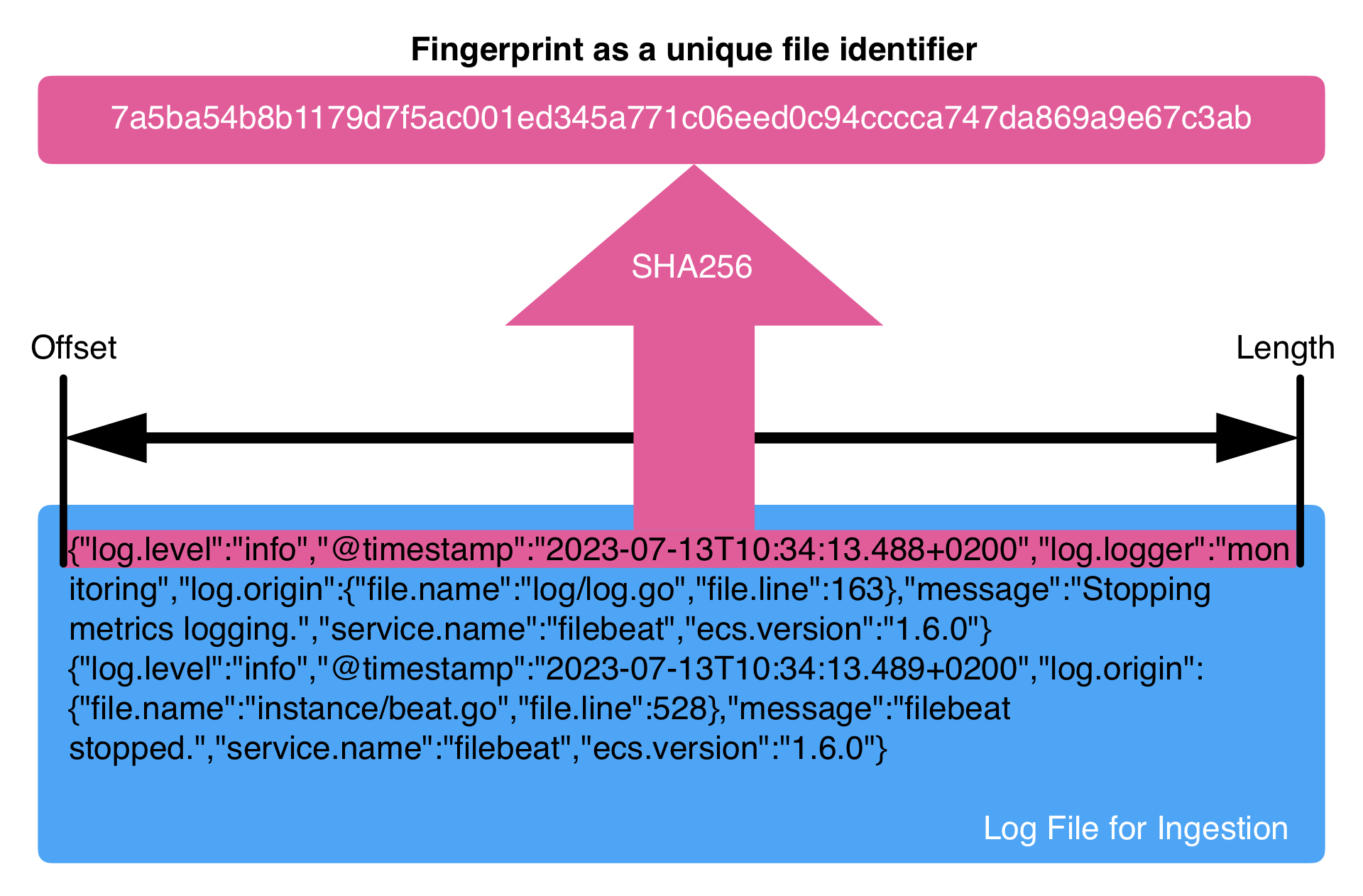 Fingerprint File Identity