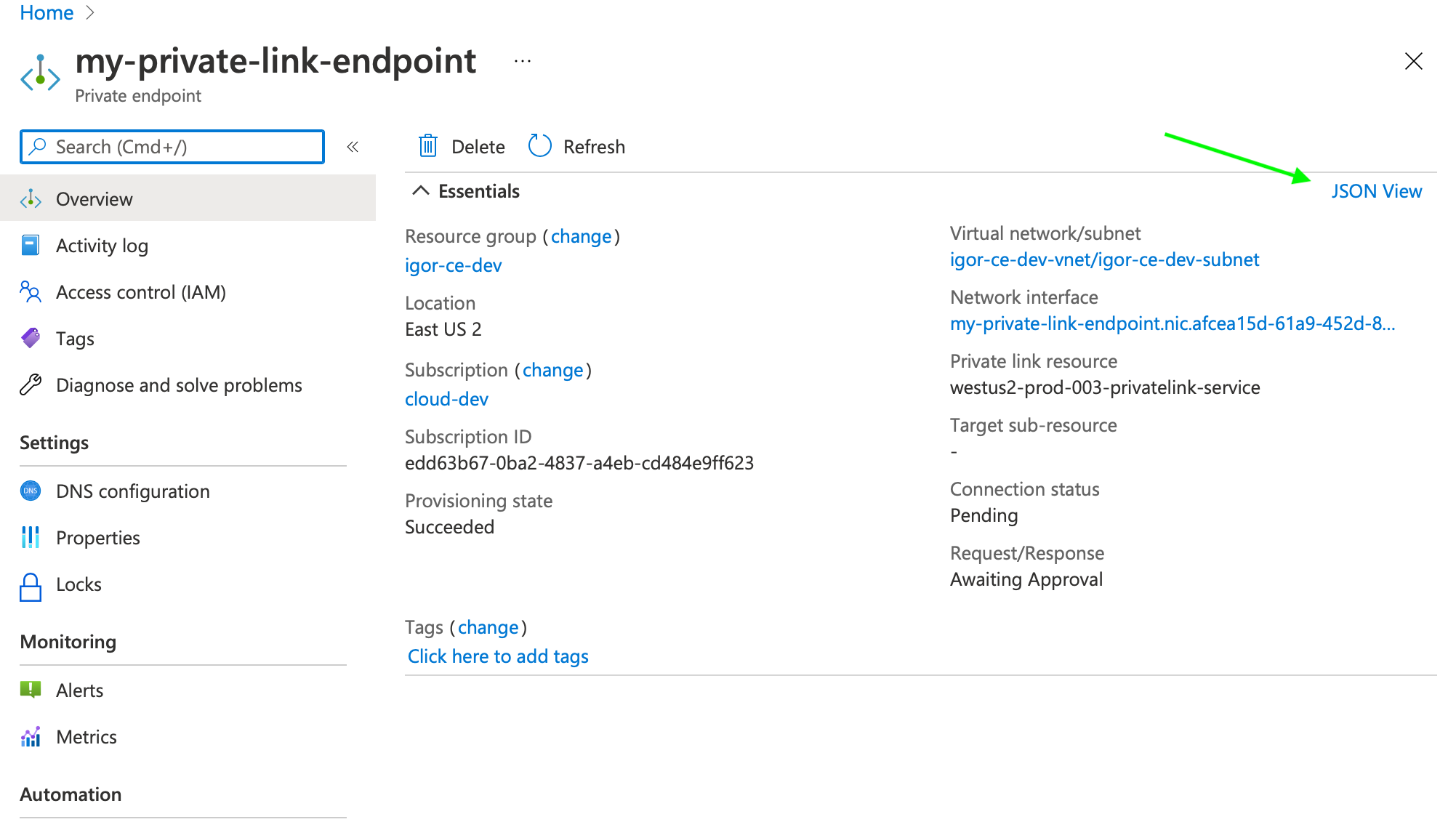 Private endpoint JSON view